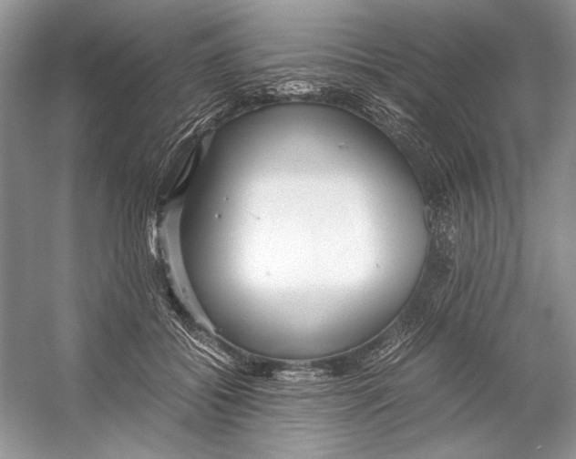 X0000053110556200508081228