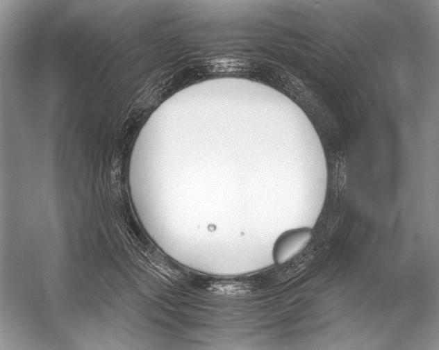 X0000053110557200508081228