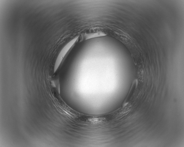 X0000053110558200508081228