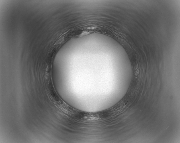 X0000053110559200508081228