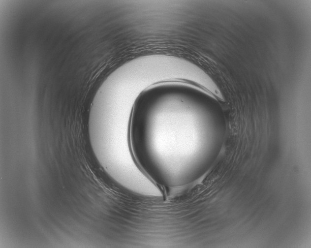 X0000053110560200508081228