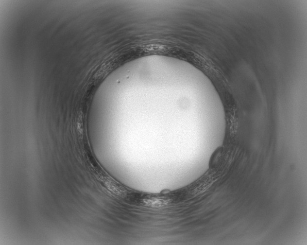 X0000053110561200508081228