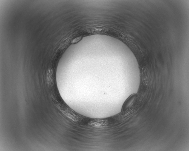 X0000053110563200508081228