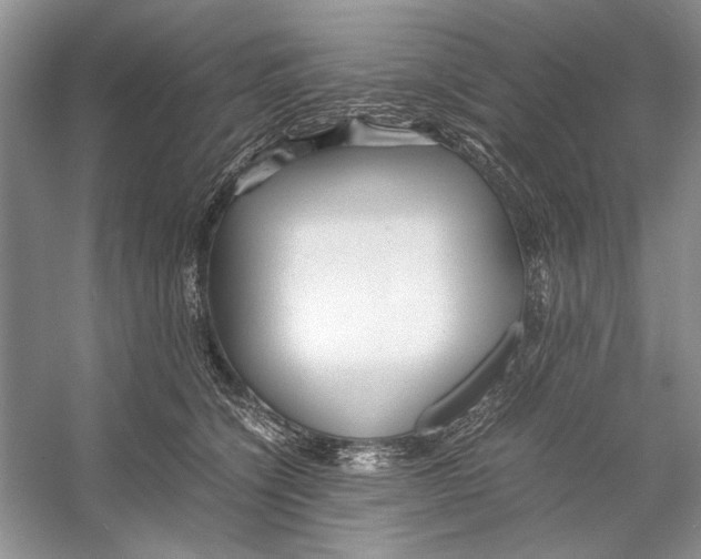 X0000053110564200508081228