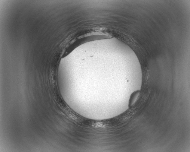 X0000053110565200508081228