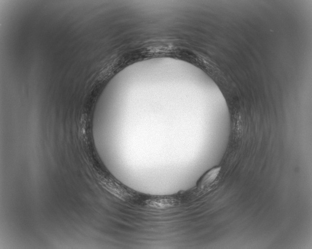 X0000053110567200508081228