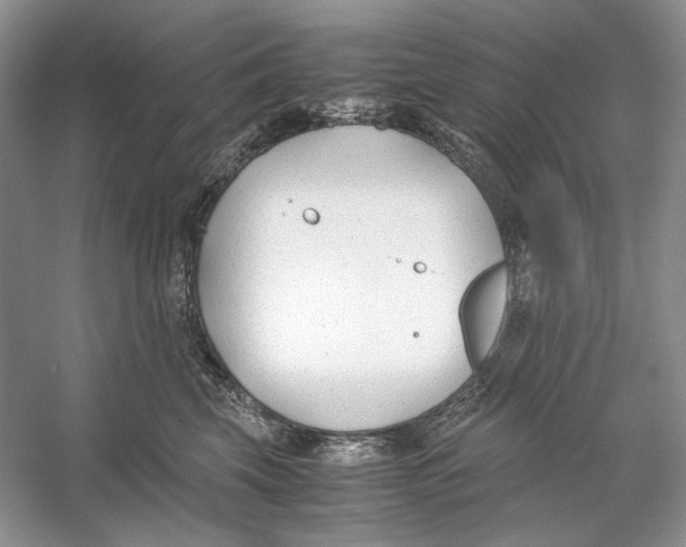 X0000053110569200508081228