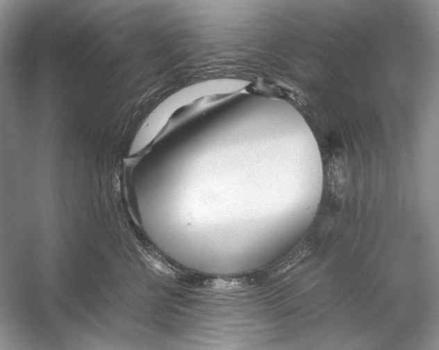 X0000053110570200508081228