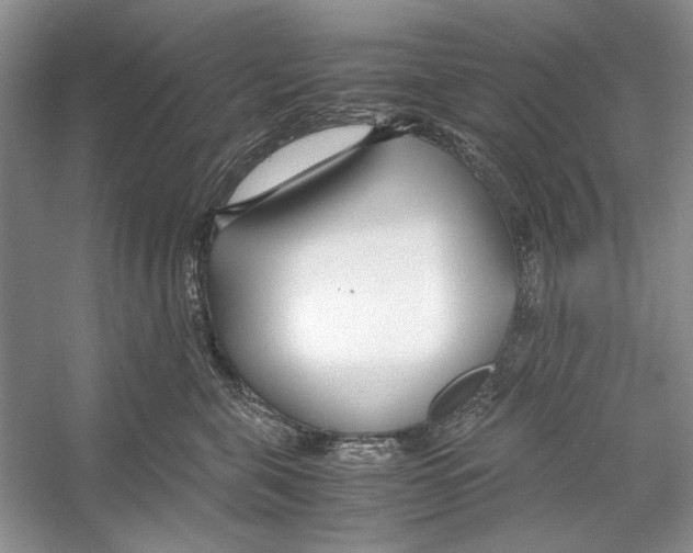 X0000053110571200508081228