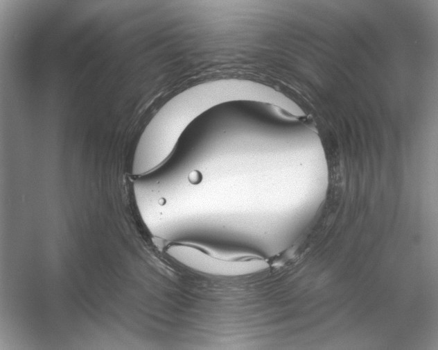 X0000053110572200508081228