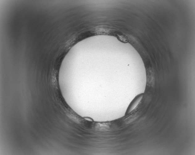 X0000053110573200508081228