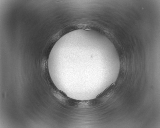 X0000053110574200508081228