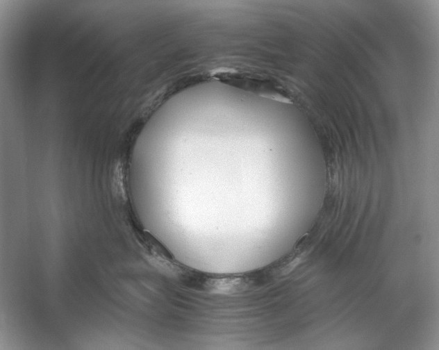 X0000053110575200508081228