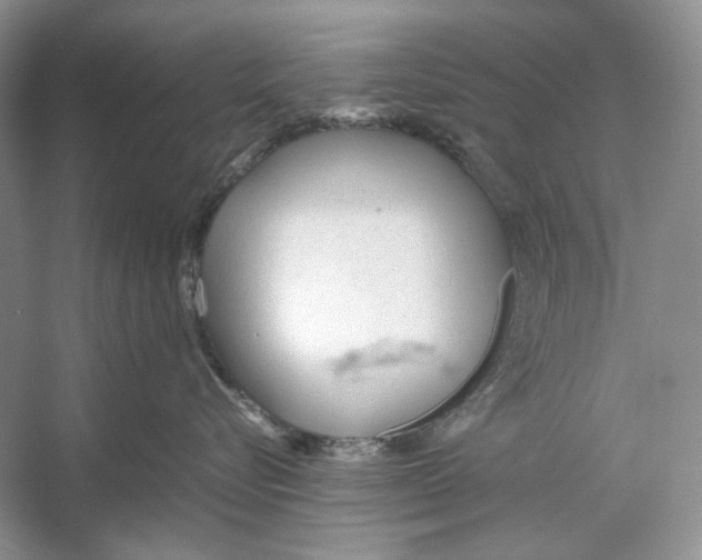 X0000053110576200508081228