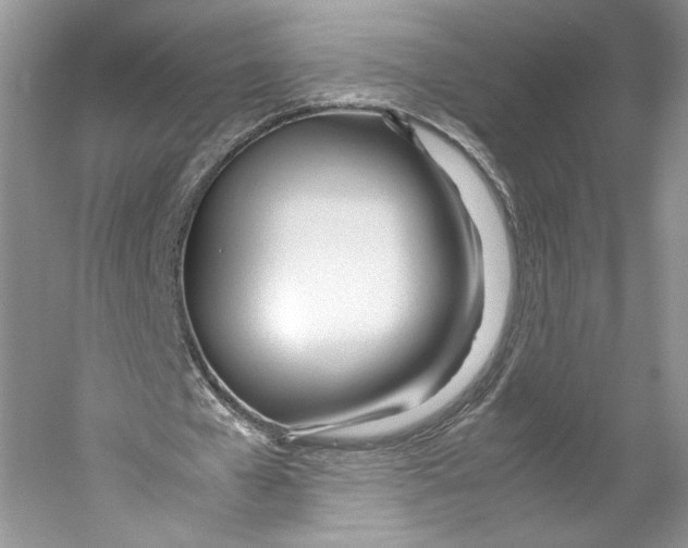 X0000053110577200508081228