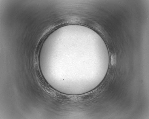 X0000053110579200508081228