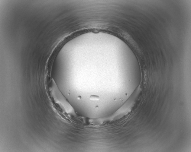 X0000053110580200508081228