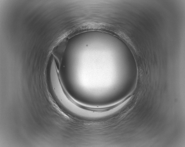 X0000053110581200508081228