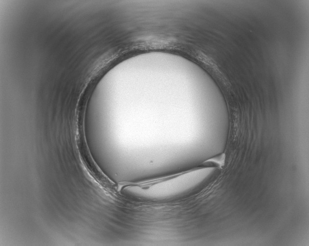 X0000053110582200508081228