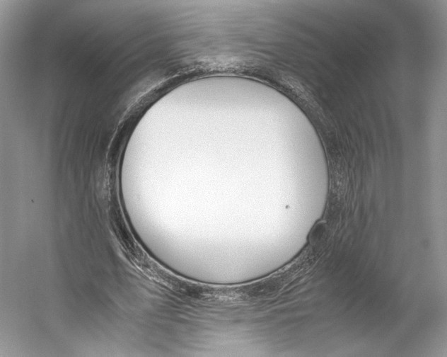 X0000053110583200508081228