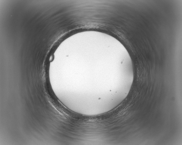 X0000053110584200508081227