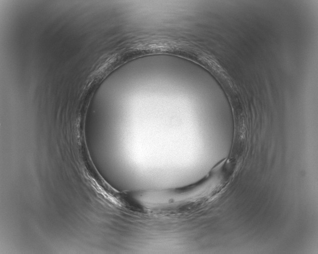 X0000053110585200508081227