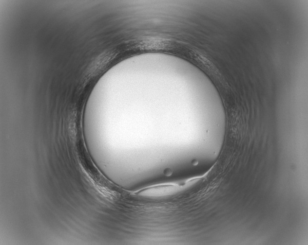 X0000053110586200508081227