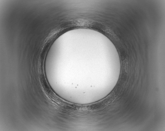 X0000053110587200508081227