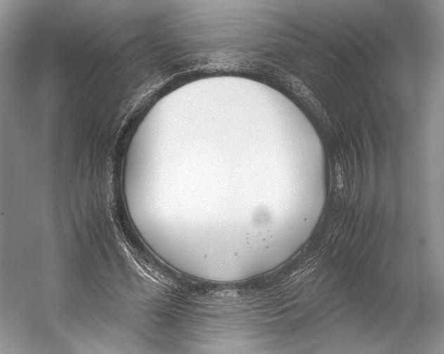 X0000053110588200508081227