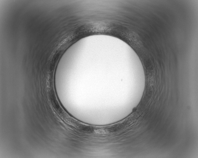 X0000053110591200508081227