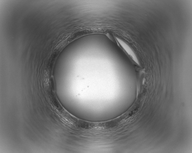 X0000053110593200508081227