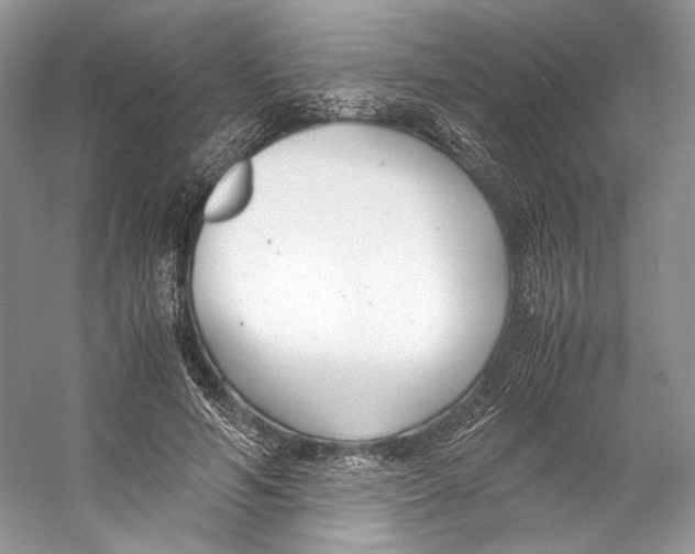 X0000053110594200508081227