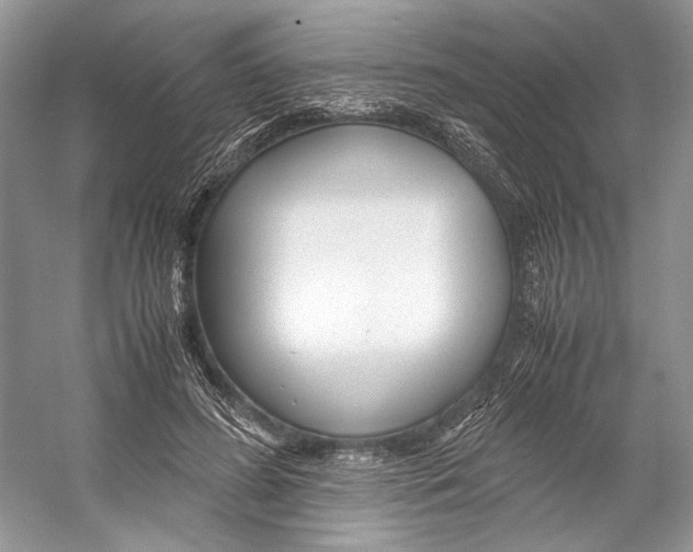 X0000053110596200508081227