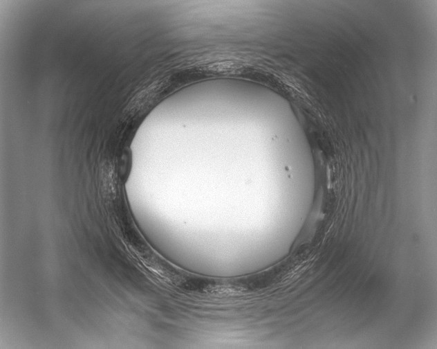 X0000053110597200508081227