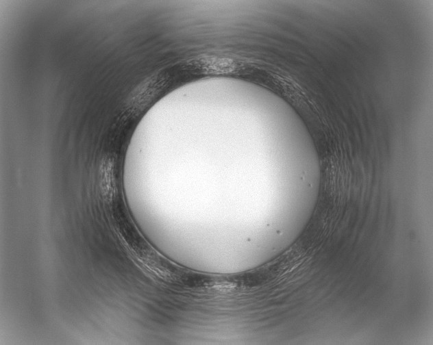 X0000053110598200508081227