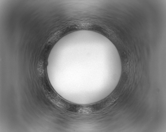 X0000053110599200508081227