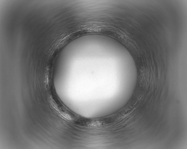 X0000053110600200508081227