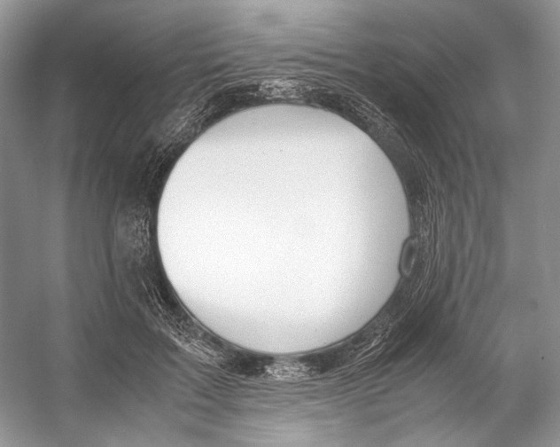 X0000053110603200508081227