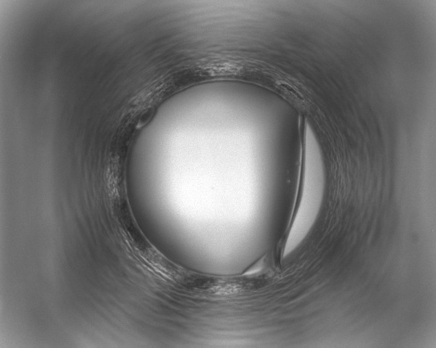 X0000053110604200508081227