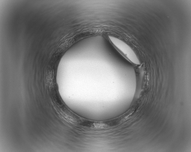 X0000053110605200508081227