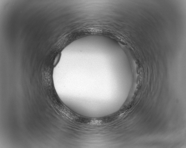 X0000053110609200508081227