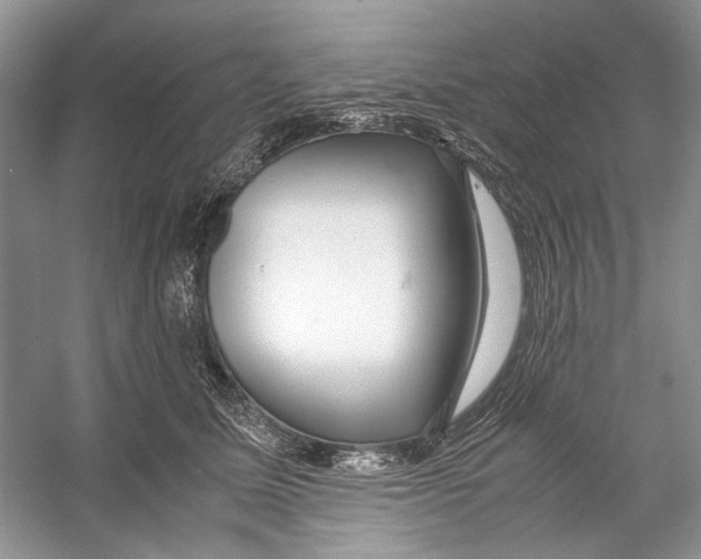 X0000053110611200508081227