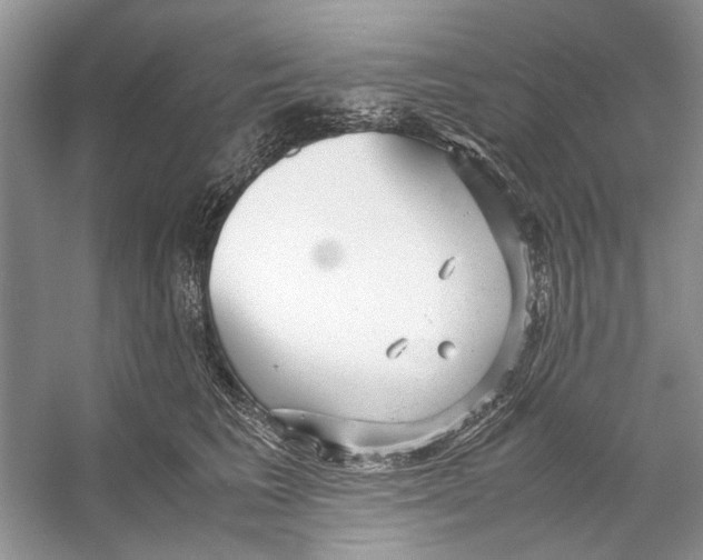 X0000053110613200508081227