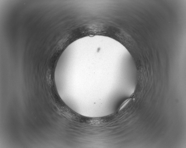 X0000053110615200508081227