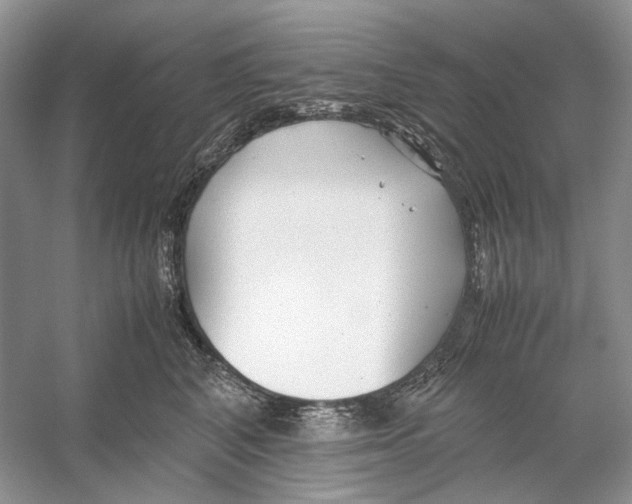 X0000053110616200508081227