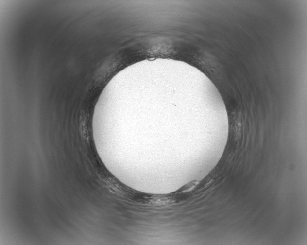 X0000053110619200508081227