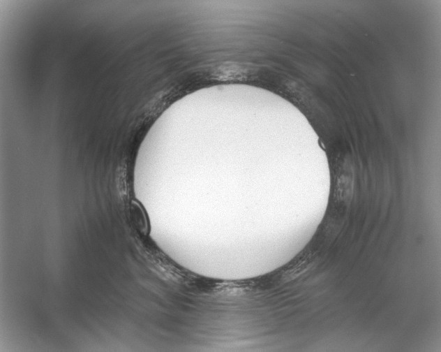 X0000053110620200508081227