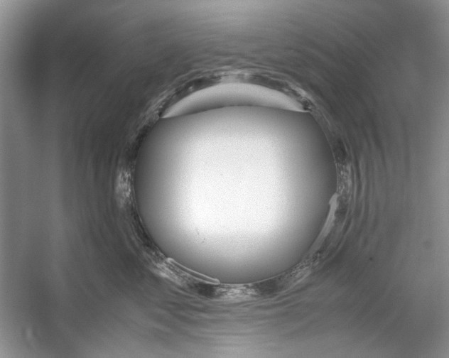 X0000053110621200508081227