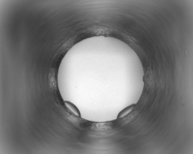 X0000053110622200508081227