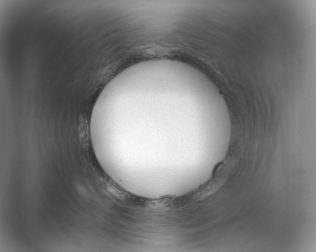 X0000053110624200508081227